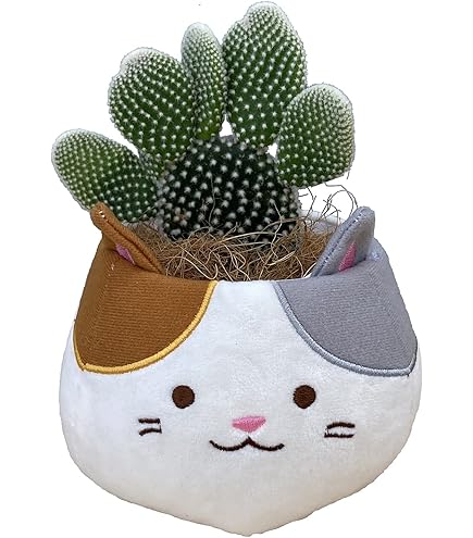 Amazon｜花のギフト社 さぼてん ウチワサボテン 柴犬バスケット 鉢植え